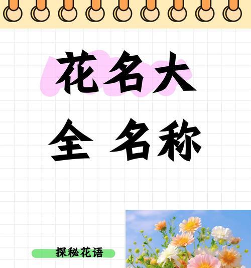 三朵玫瑰花的含义与象征（揭开三朵玫瑰花背后的秘密，情感、爱情、友谊）