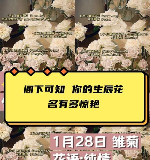 三朵玫瑰花的含义与象征（揭开三朵玫瑰花背后的秘密，情感、爱情、友谊）