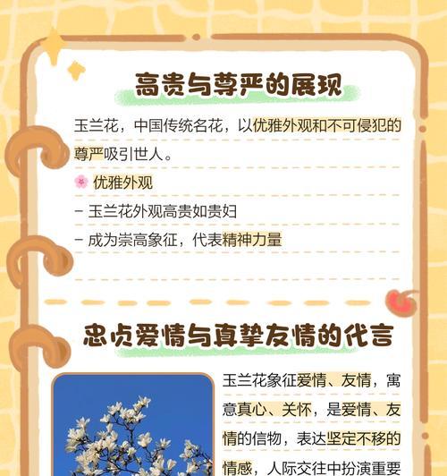 白玉兰花语（白玉兰花的含义和象征意义）