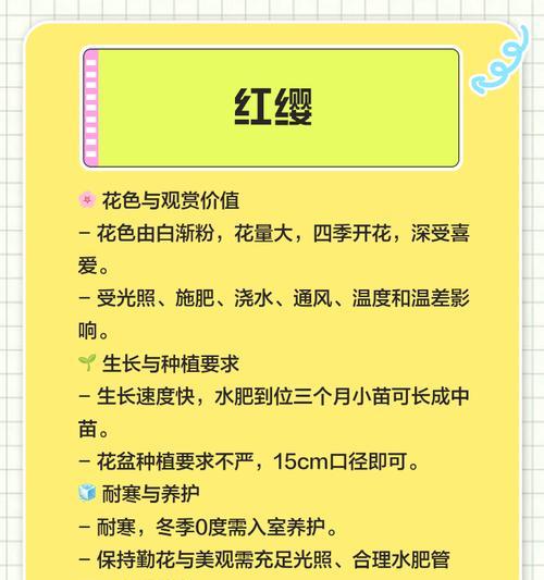 三角梅养殖方法与花语注意事项（打造美丽庭院的关键，三角梅知识大揭秘）