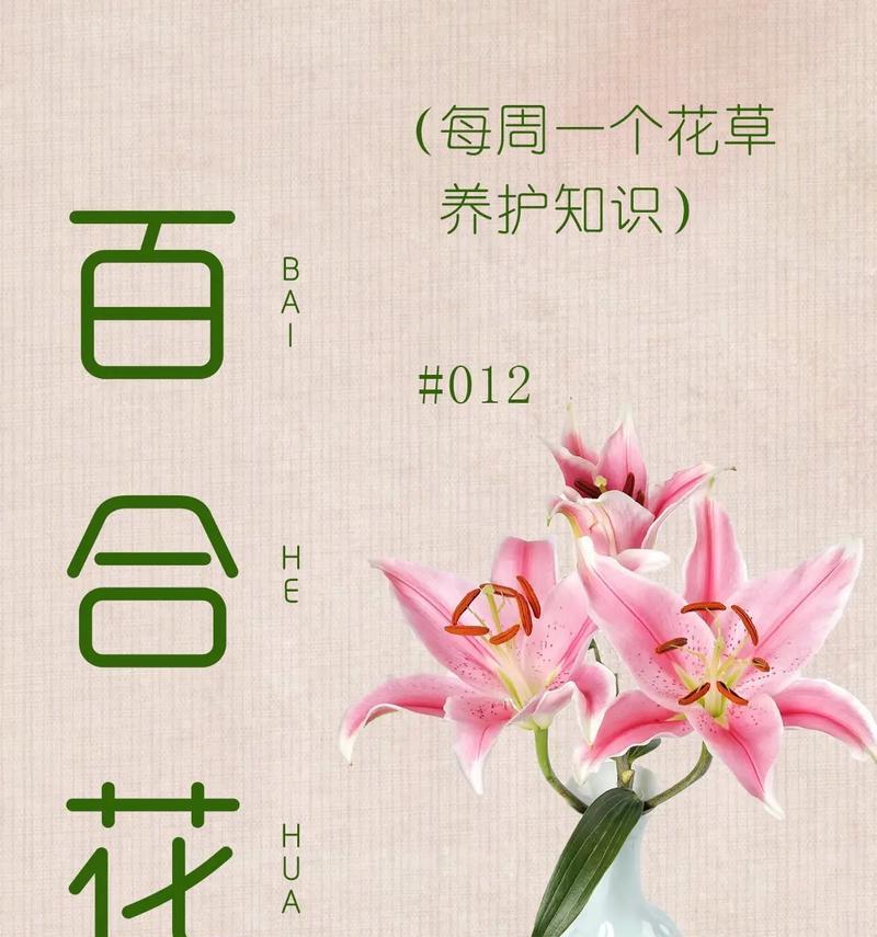 白色百合的花语与寓意（揭示白色百合所蕴含的深刻内涵）