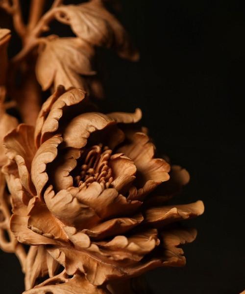 黄杨象征着吉祥的花是什么？它的寓意有哪些？