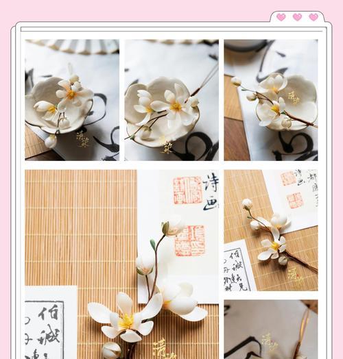 哪种白色花象征友谊？