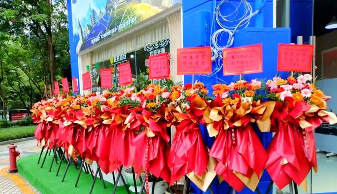 在节日送一盆花代表了什么意义？
