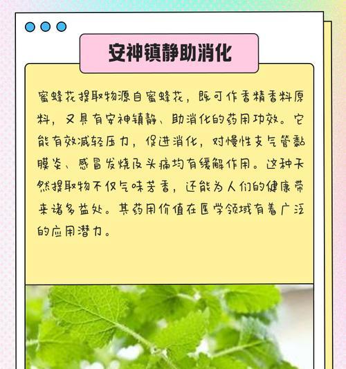 蜜蜂和花的寓意是什么？道具中如何体现？