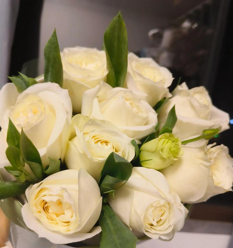 白色花搭配白玫瑰的寓意是什么？白玫瑰花语有哪些？