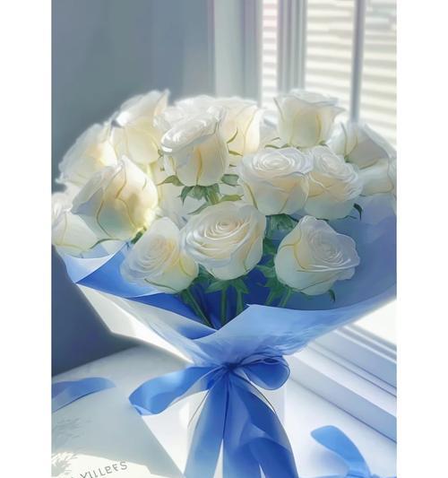 白色花搭配白玫瑰的寓意是什么？白玫瑰花语有哪些？