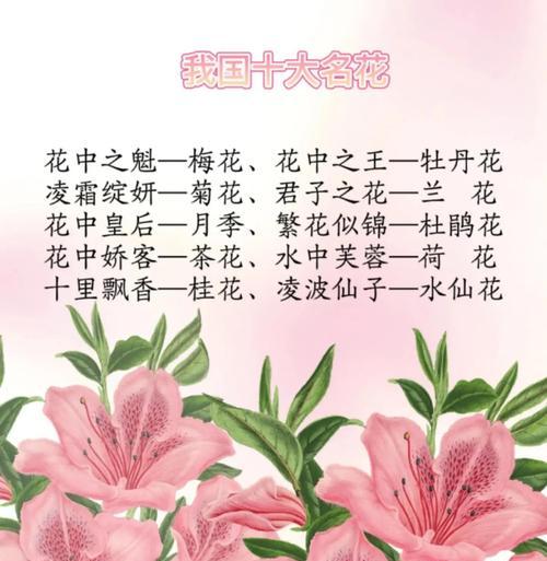 颜色鲜艳象征美好寓意的花有哪些？