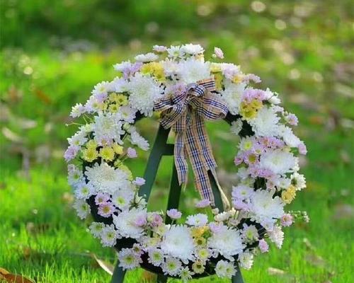 清明节应该选择哪种花？清明节花卉的寓意是什么？