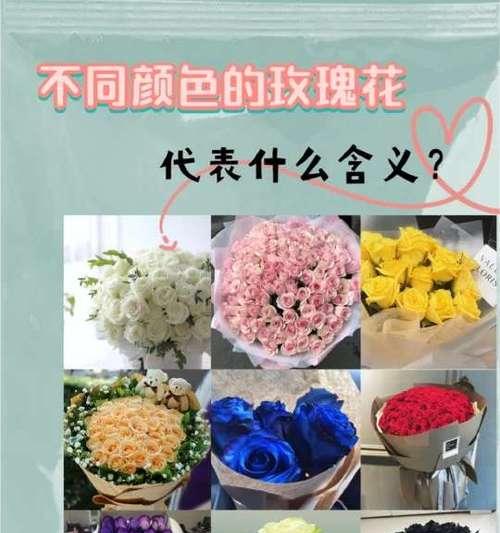 玫瑰花颜色的意义是什么？不同颜色玫瑰代表什么？