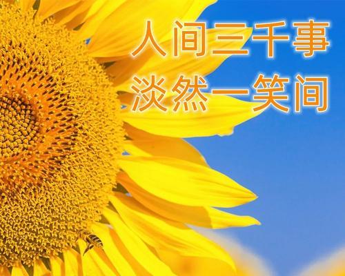 早安快乐花语大全是什么？如何挑选寓意吉祥的花朵？