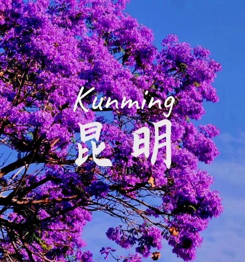 暗紫色的花通常代表什么含义？