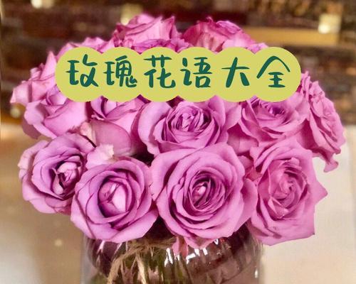 哪些花寓意繁荣富贵？繁荣富贵花语有哪些？