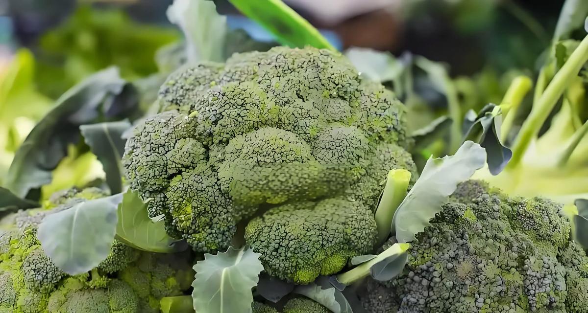 情人节送西蓝花代表什么？西蓝花在情人节的含义是什么？