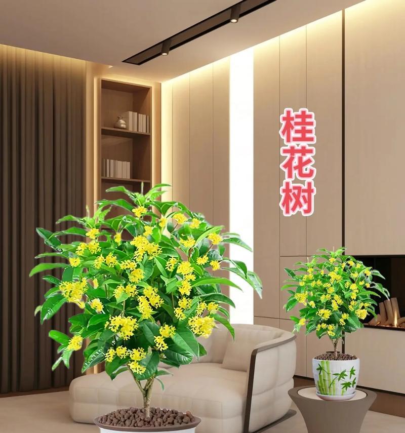 四季花卉各自代表了什么寓意？
