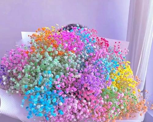 粉色满天星的花语是什么？它在表白中代表什么？