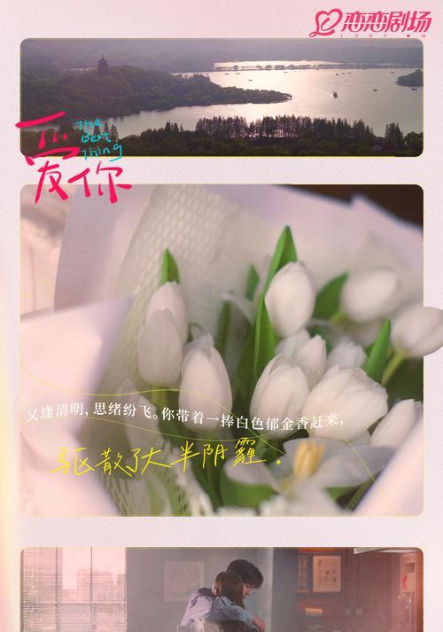 一朵花能代表什么样的爱情意义？