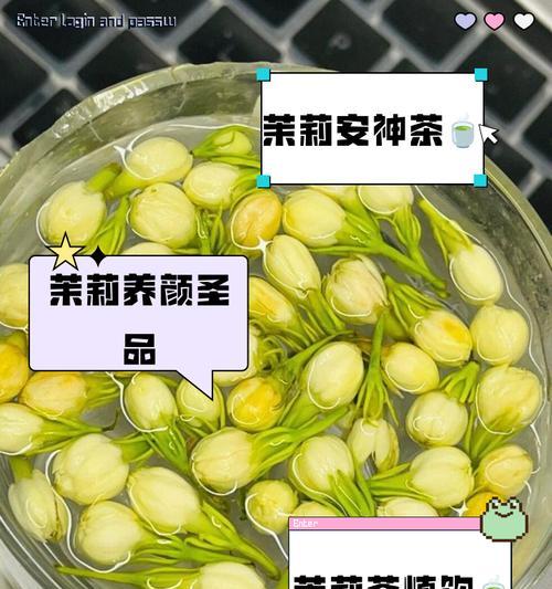 茉莉花节的意义是什么？如何庆祝茉莉花节？