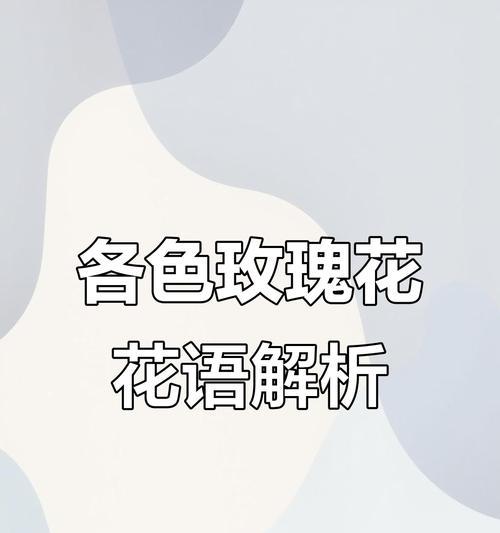 多种色系玫瑰花的寓意有哪些？