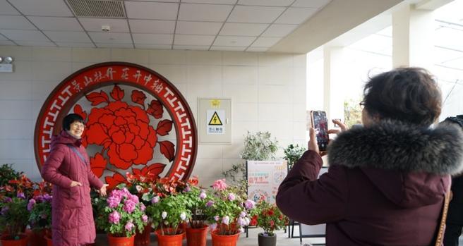 反季节花卉的寓意是什么？