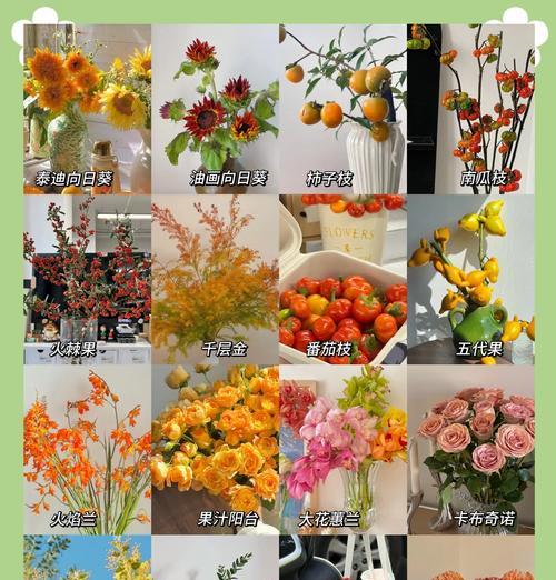 门上挂粉色花布帘有何寓意？这种装饰的含义是什么？