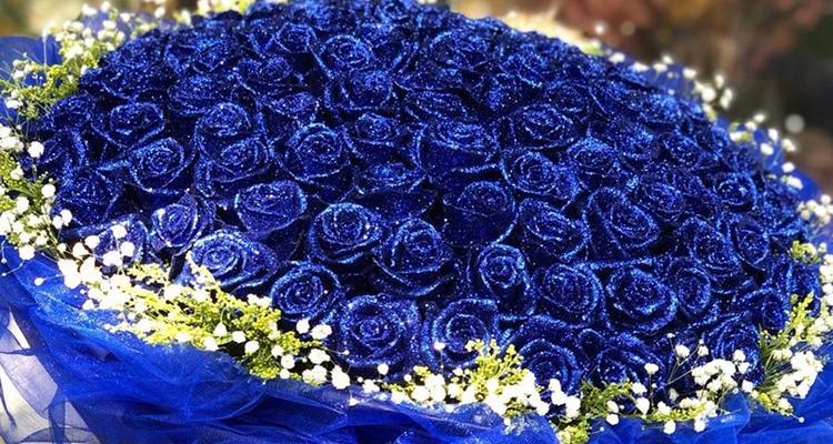 浅蓝色泰国玫瑰花寓意什么？如何挑选寓意吉祥的花？