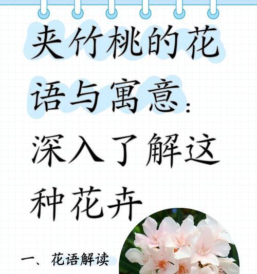 哪种花寓意长寿？它在花语中代表什么？