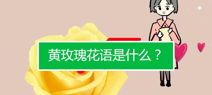黄玫瑰的花语是什么？黄色花有哪些特别的含义？