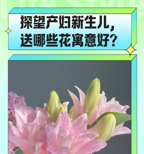 哪些暖色花有好的寓意？暖色花的寓意有哪些？