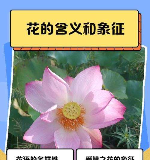 爱沙色和香槟色花有何寓意？这两种颜色花的特别含义是什么？