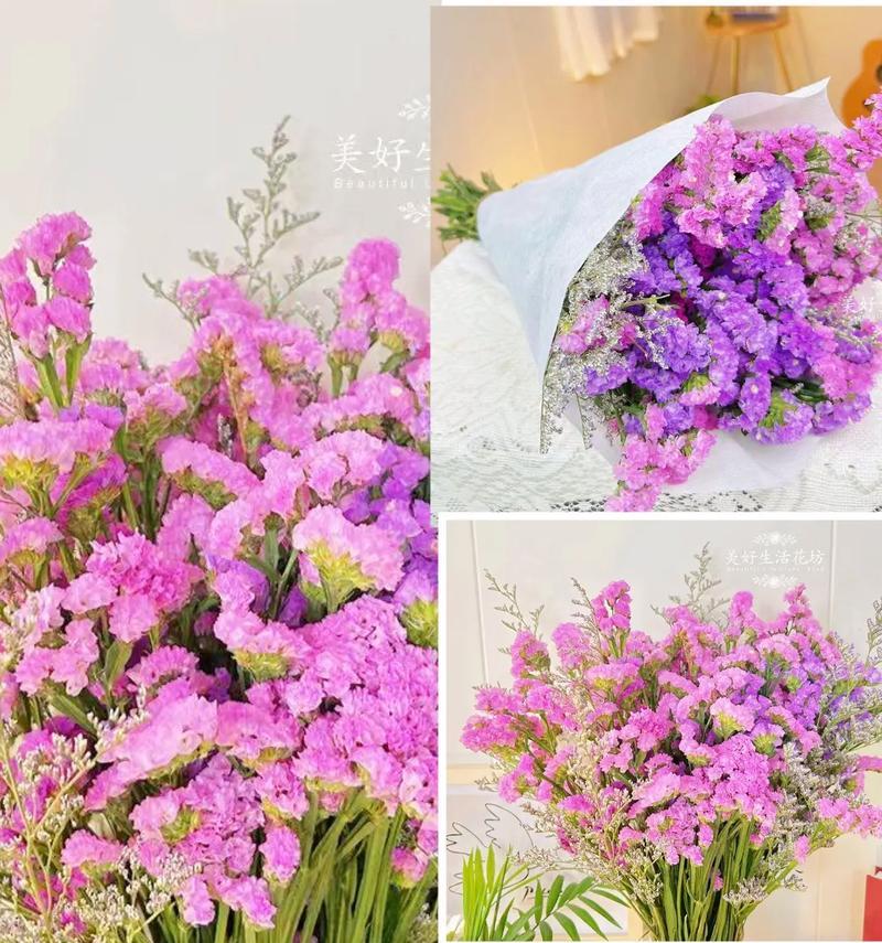 哪种花寓意开心快乐？如何用花表达快乐的情感？