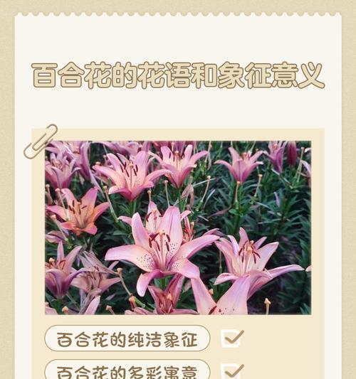 红色花和绿色花的象征意义是什么？花的颜色寓意有何不同？