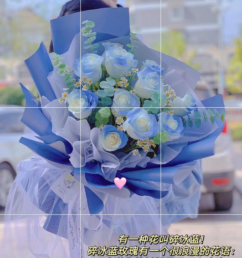 蓝色花语为何给人高级感？它们的寓意是什么？