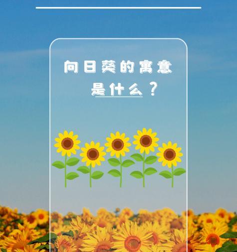 哪些花象征着幸福和吉祥？它们的花语是什么？