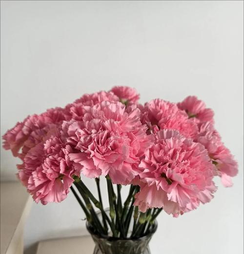 粉红色花代表什么情感？送粉红色花的深层含义是什么？