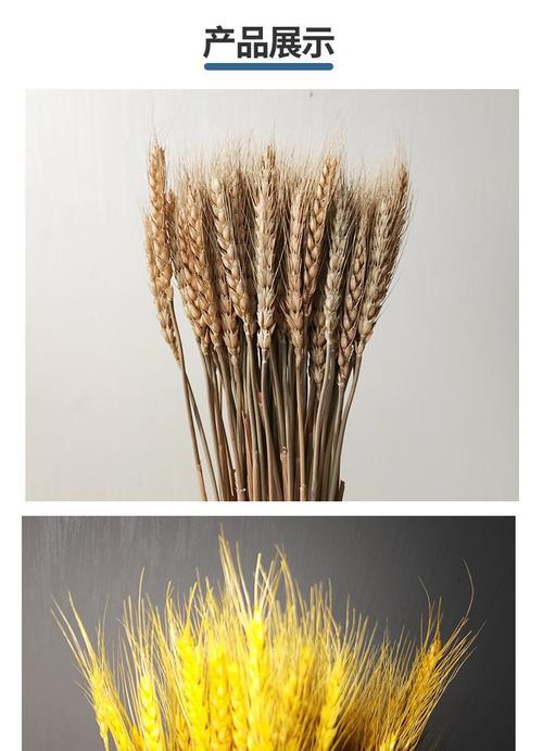 黄金色假花的寓意是什么？假花与真花的寓意有何区别？