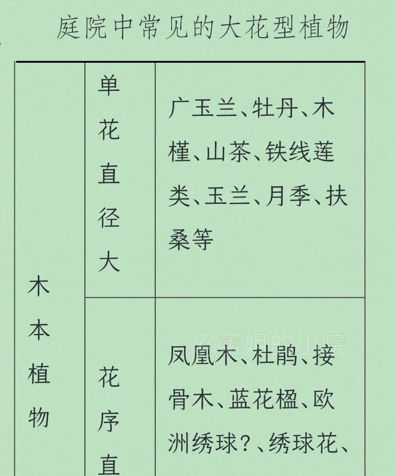 十种花各自的文化象征意义是什么？