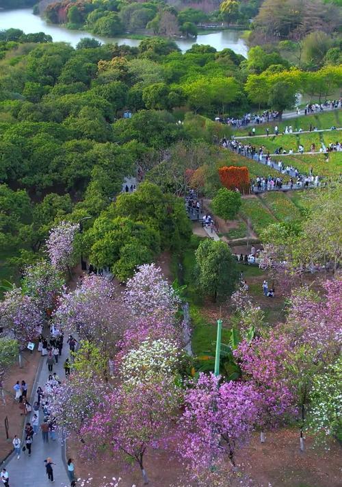 花朝节花的寓意是什么？
