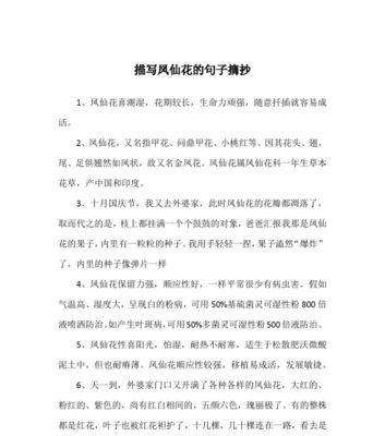 灰色花的花语和寓意是什么？灰色花卉的象征意义有哪些？