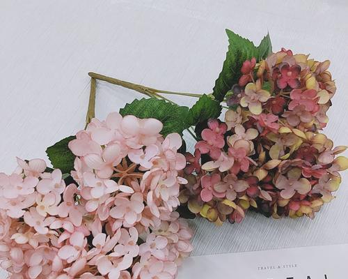 手捧花绑大葱有何特别含义？