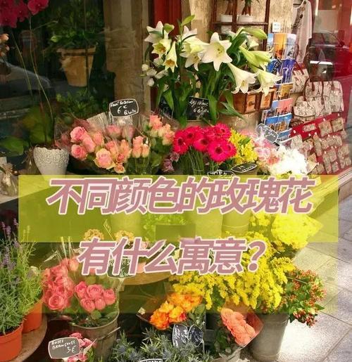 不同颜色水杯的花语是什么？它们代表了什么？