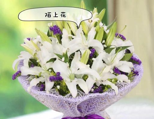 白色百合花的象征意义是什么？