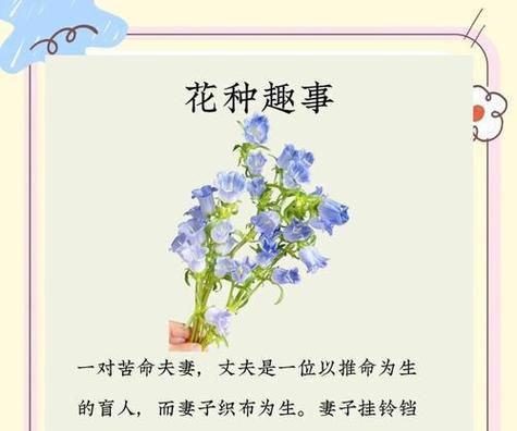 爱情祝福的花语有哪些？如何通过花语表达爱意？