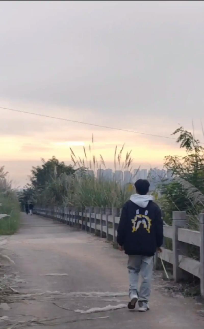 折耳根色的花语代表什么？