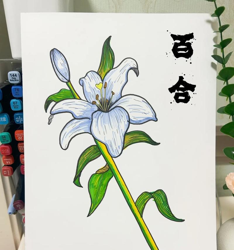 不同颜色的百合花代表什么？百合花颜色的含义有哪些？