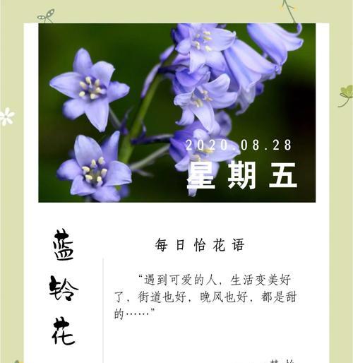 粉色花和蓝色花的意义是什么？粉色与蓝色花语有何不同？
