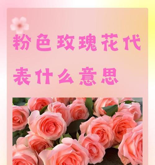 玫瑰花品种颜色的寓意是什么？玫瑰花的花语有哪些？