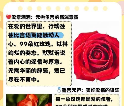 玫瑰花品种颜色的寓意是什么？玫瑰花的花语有哪些？