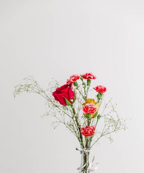 节节花代表什么？如何用节节花表达祝福？
