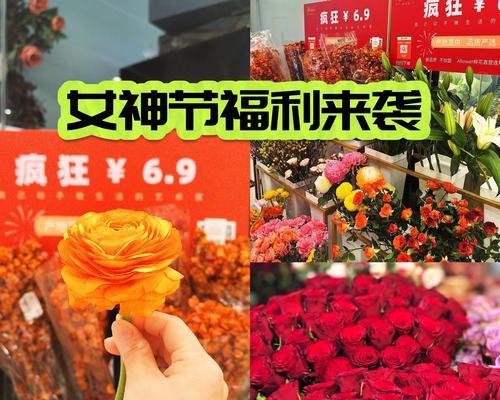 节节花代表什么？如何用节节花表达祝福？